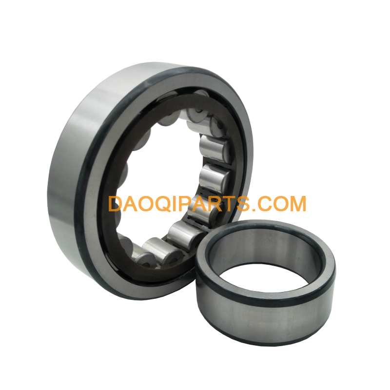 roller bearing RN204